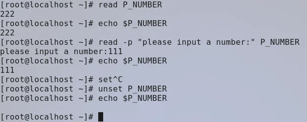 Bash命令行界面 bash-4.1$ 的含义和使用方法解析指南