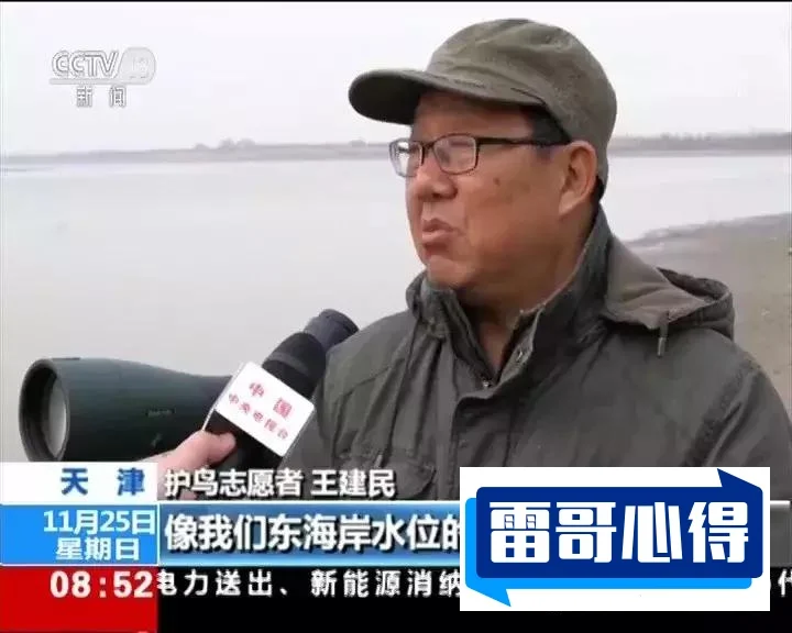 世界上特别毒的鸟排名2025最新排名前十名榜单出炉