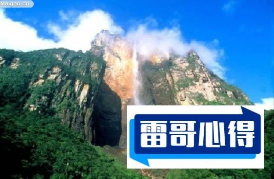 广西大学鲜花瀑布2025近期排名前十名分析