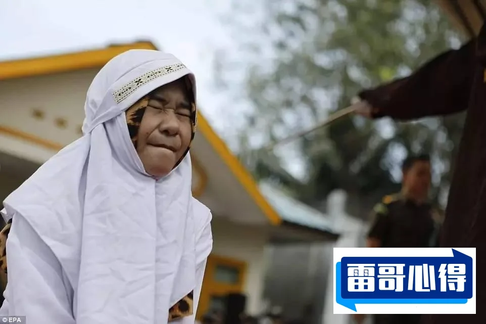 印尼海滩神秘生物2025近期排名前十名分析
