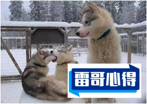 中国十大单身狗聚集地排行榜2025特别新排名前十名分析