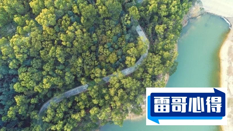 十大聪明鸟类2025最新排名前十名榜单出炉