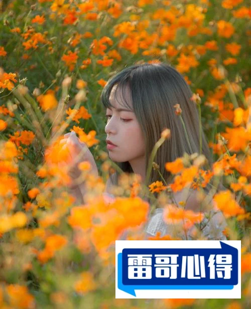 广州十大公园排行榜2025最新排名前十名榜单出炉