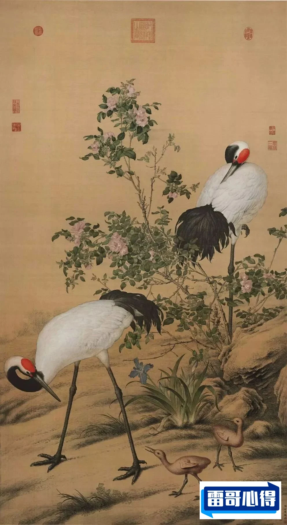 清代十大宫廷画家2025近期排名前十名榜单出炉