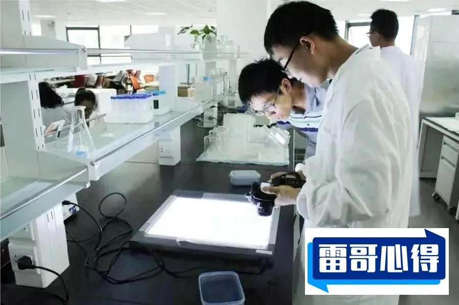 全球十大药企排行榜2025最新排名前十名榜单出炉