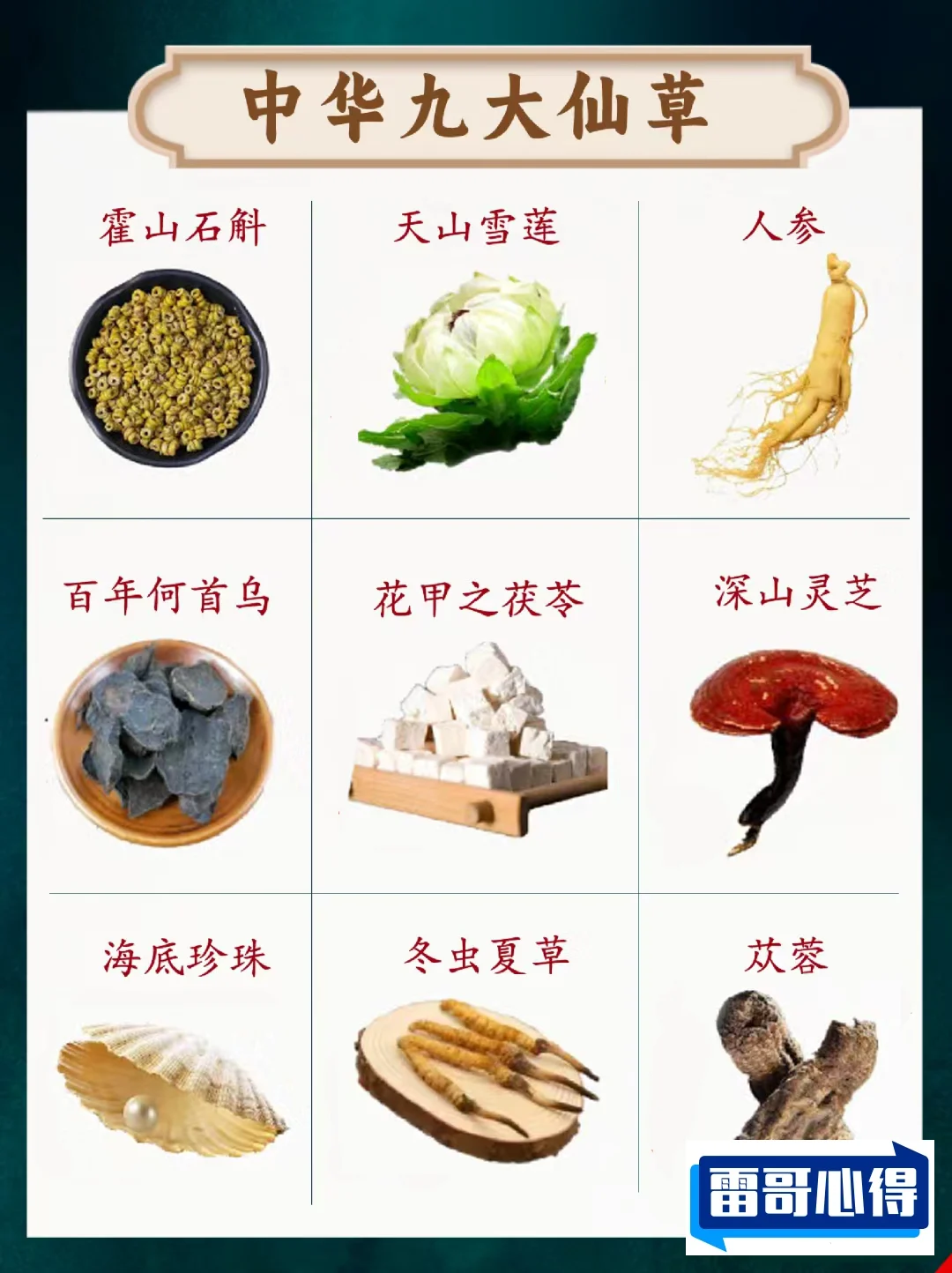 中国九大仙草排名2025最新排名前十名榜单出炉