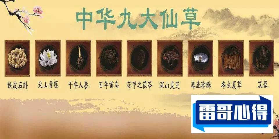 中国九大仙草排名2025最新排名前十名榜单出炉