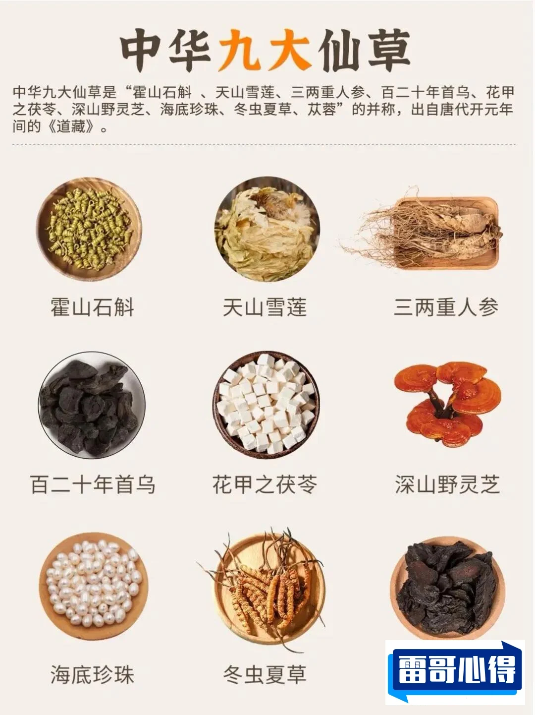 中国九大仙草排名2025最新排名前十名榜单出炉