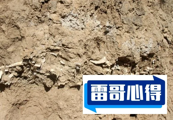 世界上特别诡异的十把刀有哪些?顶尖人骨铸造2025最新排名前十名榜单出炉