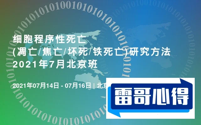 母亲节送什么花2025近期排名前十名分析