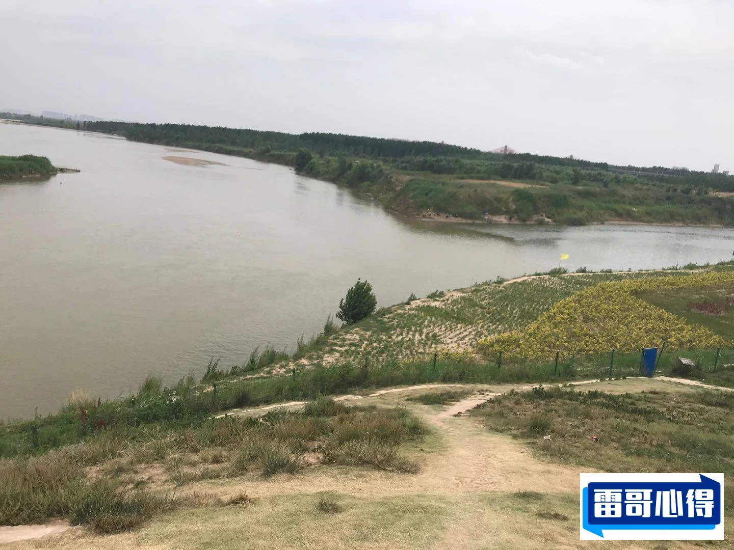 西游记四大龙王2025最新排名前十名榜单出炉
