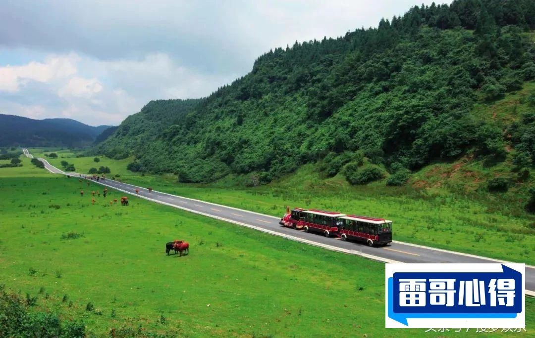 冬季旅游特别佳国家排行榜2025最新排名前十名榜单出炉