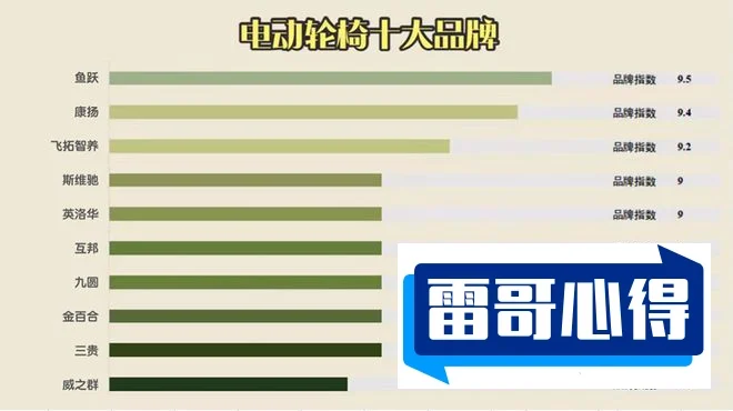 轮椅十大品牌排行榜2025近期排名前十名分析