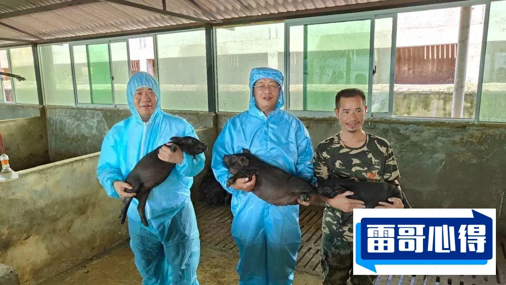 特别接地气的十大电子产品排行榜2025特别新排名前十名分析
