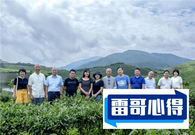 湖南十大品牌排行榜2025最新排名前十名榜单出炉