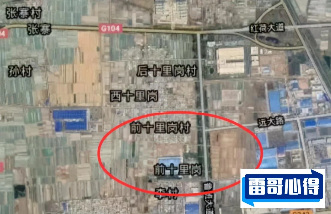世界上特别大的枣2025最新排名前十名榜单出炉