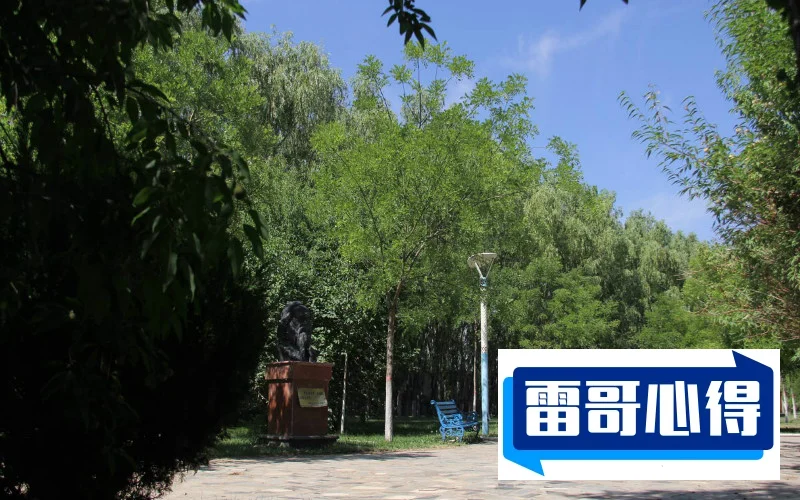 2022年银川能源学院在河北省的招生计划？