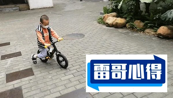儿童平衡车10大品牌-儿童平衡车品牌排行榜2025年排名前十名榜单出炉