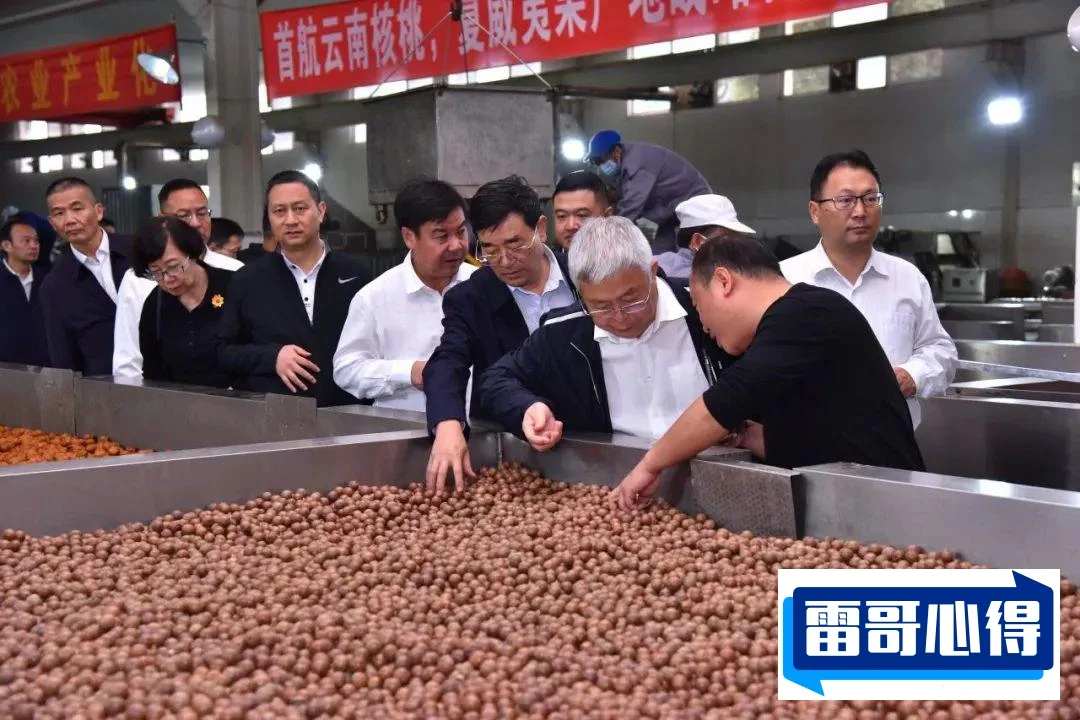 欧美乡村音乐排行榜2025特别新排名前十名分析