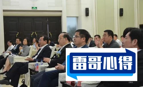 粤港澳大湾区龙头股排行榜2025年排名前十名榜单出炉